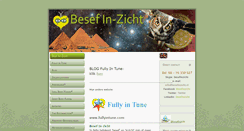 Desktop Screenshot of besefinzicht.nl